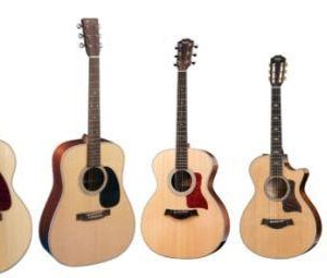 Acoustic Guitars