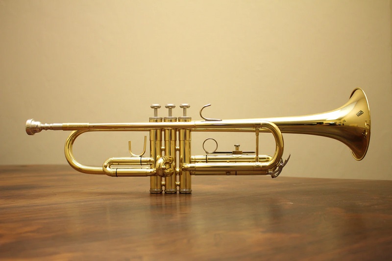 brass family instruments