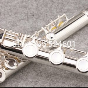 Flute C Tone16 Hole Open or Closed Holes with Case