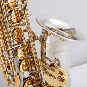 Alto Saxophone Eb with Case and Accessories