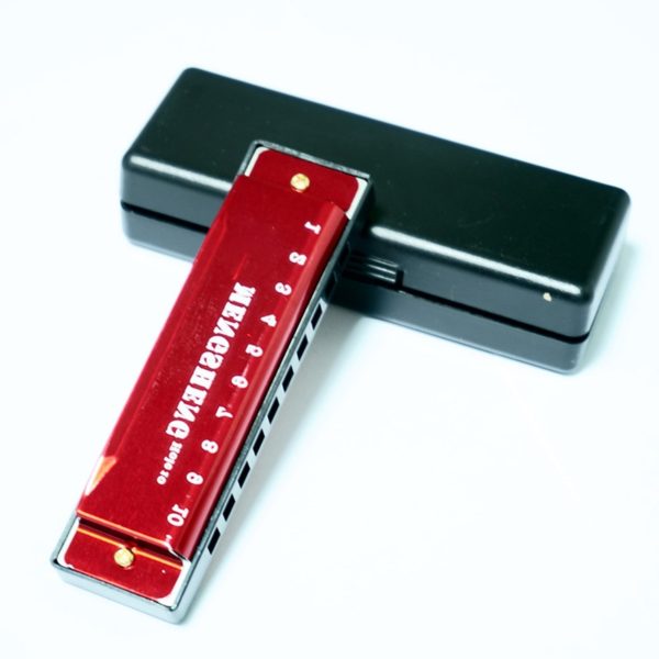 c key 10 hole c tone diatonic harmonica with case