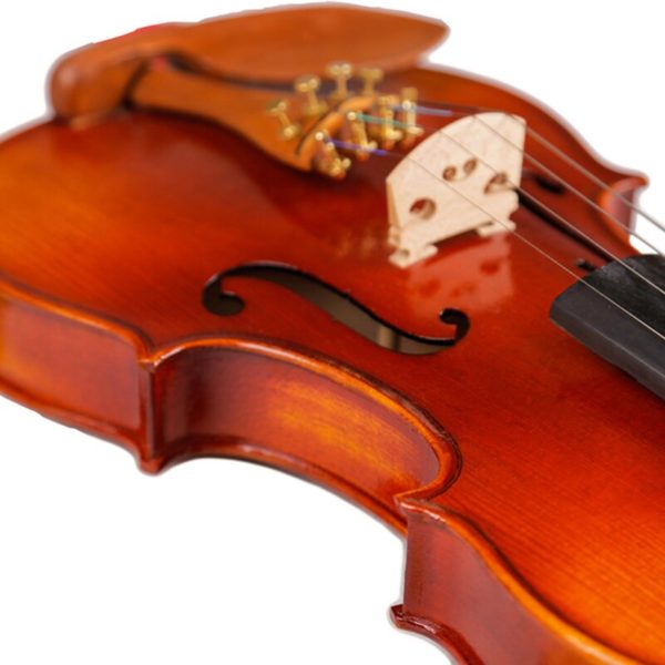 violin and case