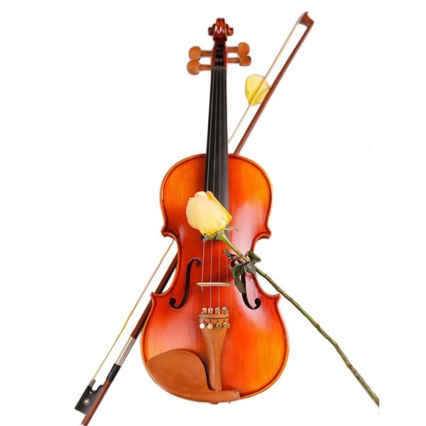 violin and case
