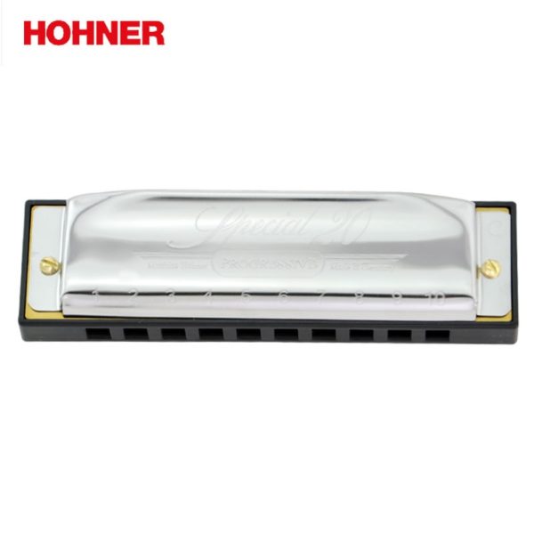 hohner 10 hole diatonic harmonica with case
