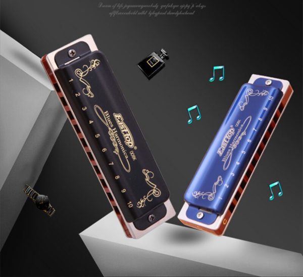 T008K diatonic 10 hole blues harmonica
