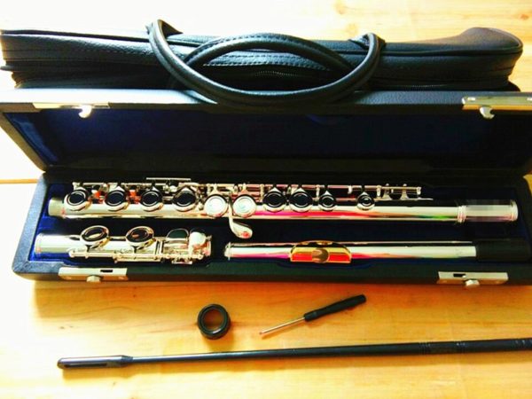 c tune 16 hole e key flute and case