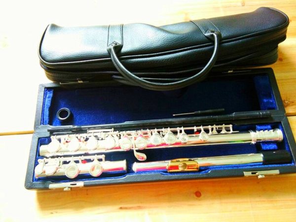 c tune 16 hole e key flute and case