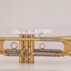 Bb Trumpet with Mouthpiece and Case