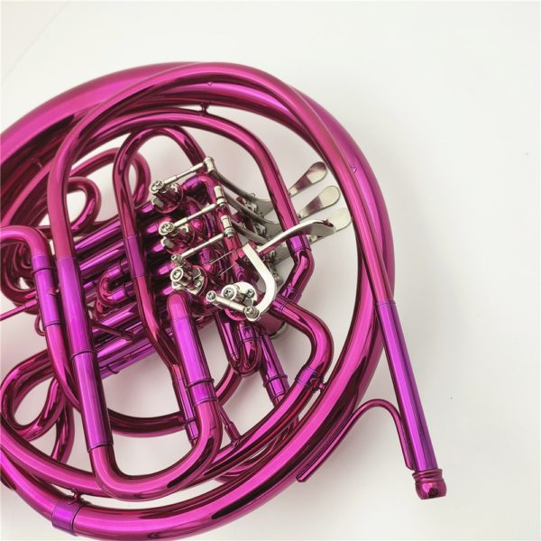 french horn double 4 keys Bb/F with case