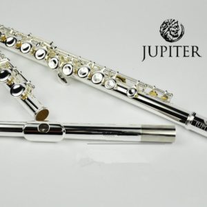 Flute 16 Holes Silver C Tone  with Case