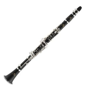 master the clarinet