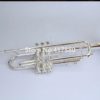 Bb trumpet mouthpiece and case