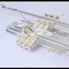 Bb trumpet mouthpiece and case
