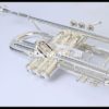 Bb trumpet mouthpiece and case