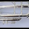 Bb trumpet mouthpiece and case