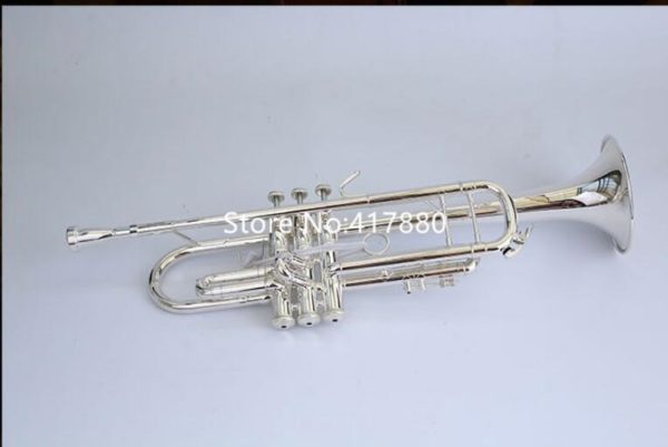Bb trumpet mouthpiece and case