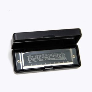 10 hole blues harmonica