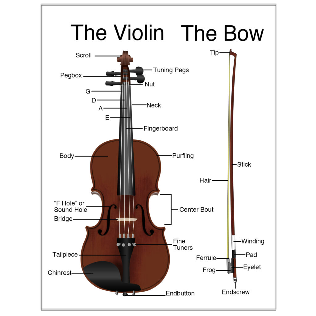 parts of the violin