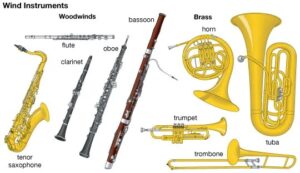 wind family instruments