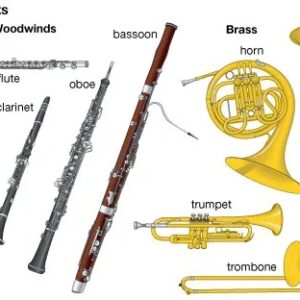 Wind Family Instruments