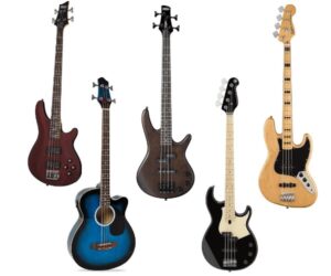 types of bass guitars