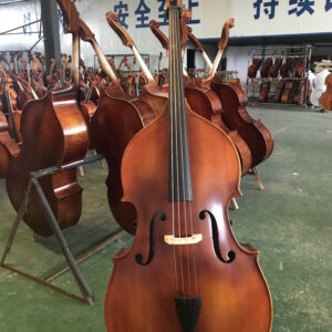 Double Bass