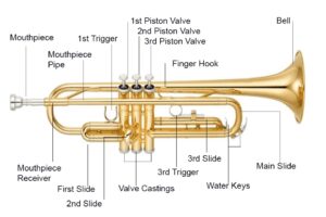 anatomy of a trumpet