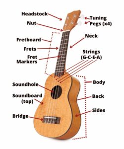parts of the 4 string bass ukulele