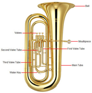 anatomy and components of the tuba