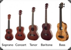 types and styles of ukulele
