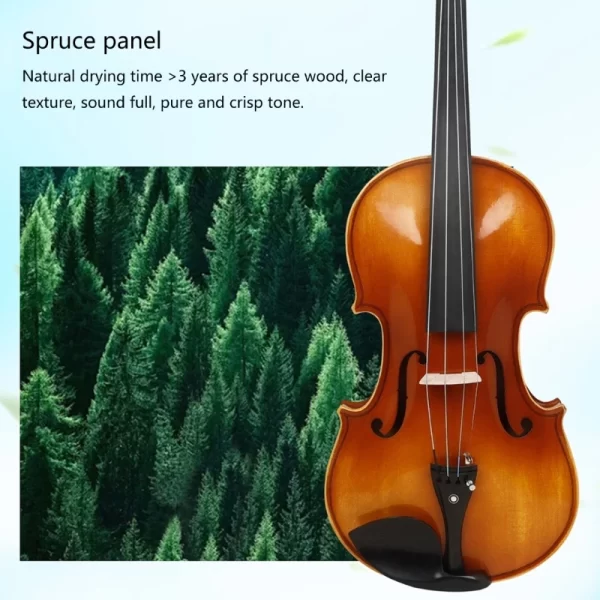 16-Inch Spruce Viola with Bow and Carrying Case